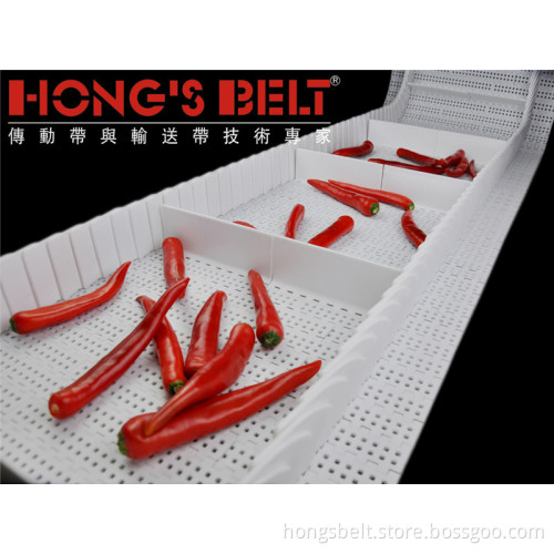 Food Industry Modular Conveyor Belt (HS-100B)